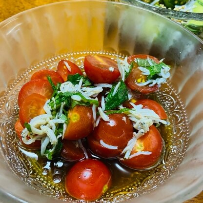 大葉はバジルを思わせるのでトマトとよく合い、しらすと醤油ドレッシング風味の味付けは、和風と洋風の良いとこ取りのようで、とても美味しかったです。